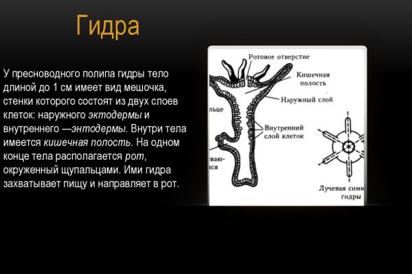 Кракен онион зеркало vtor run