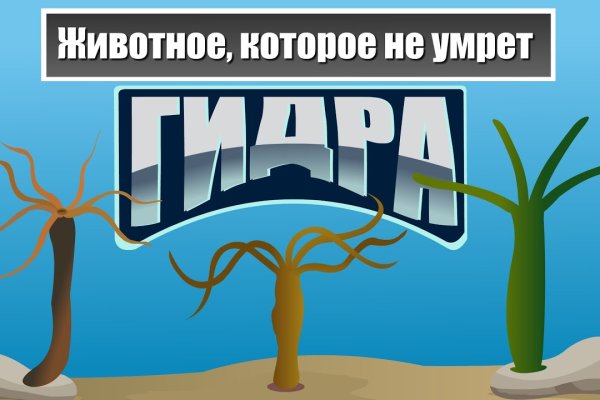 Ссылки на кракен тор